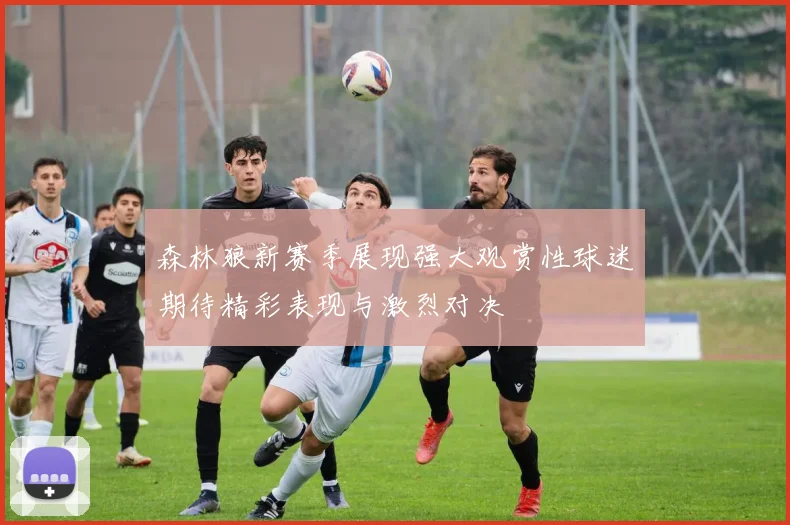 森林狼新赛季展现强大观赏性球迷期待精彩表现与激烈对决